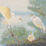 Couple d'aigrettes au bord d'un étang